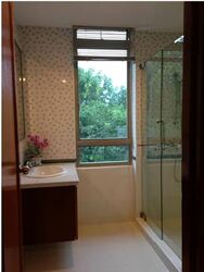 The Blossomvale (D21), Condominium #557095241